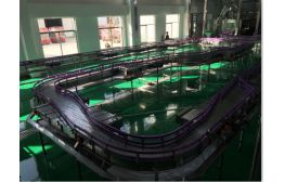 專業流水線供應商】供應無壓力酒瓶輸送系統