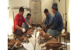 TG500酒壇灌裝清洗機(jī)